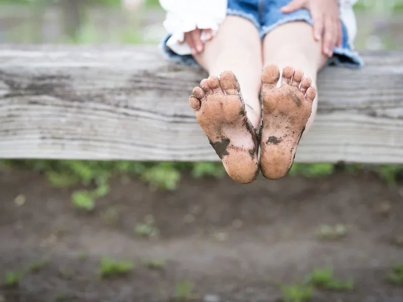 Levend Lokaal in ontwikkeling op Accent Hoogvliet