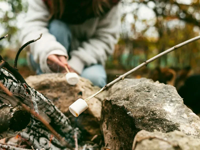 Informatie Kamp Bushcraft